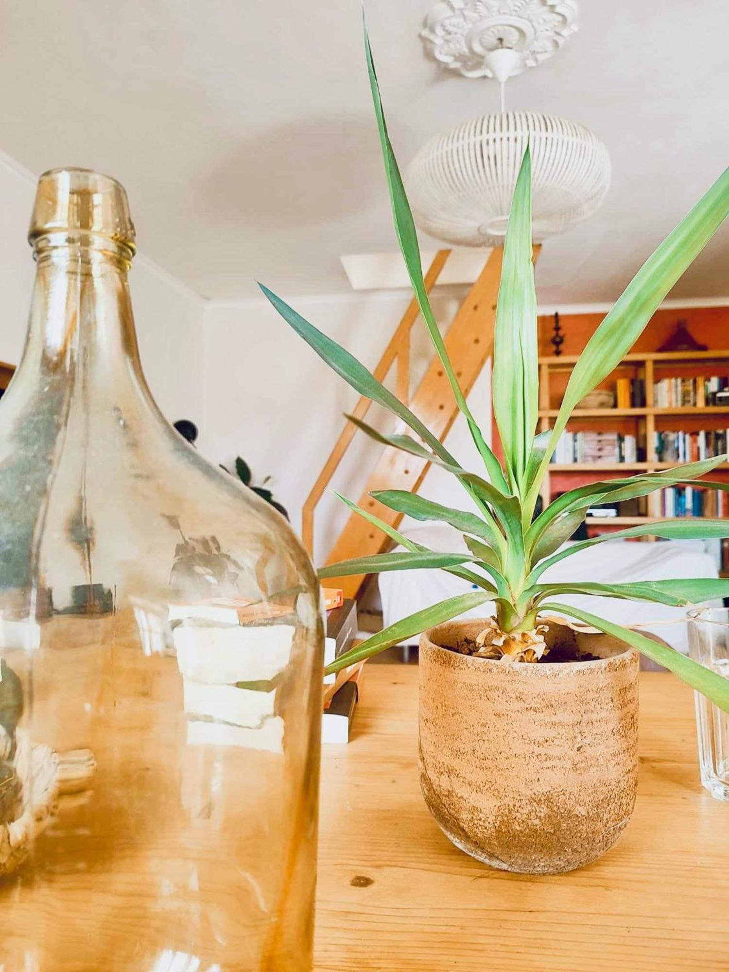 Apartmento Soma Aljezur Eksteriør billede